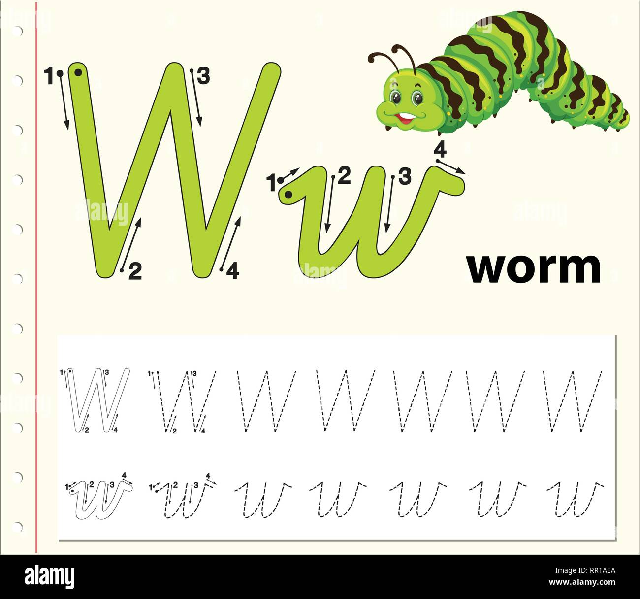 Letter W tracing alphabet worksheets illustration Stock Vector Image