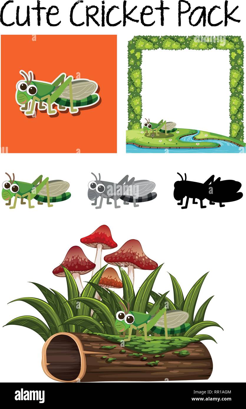 A pack of cute cricket illustration Stock Vector