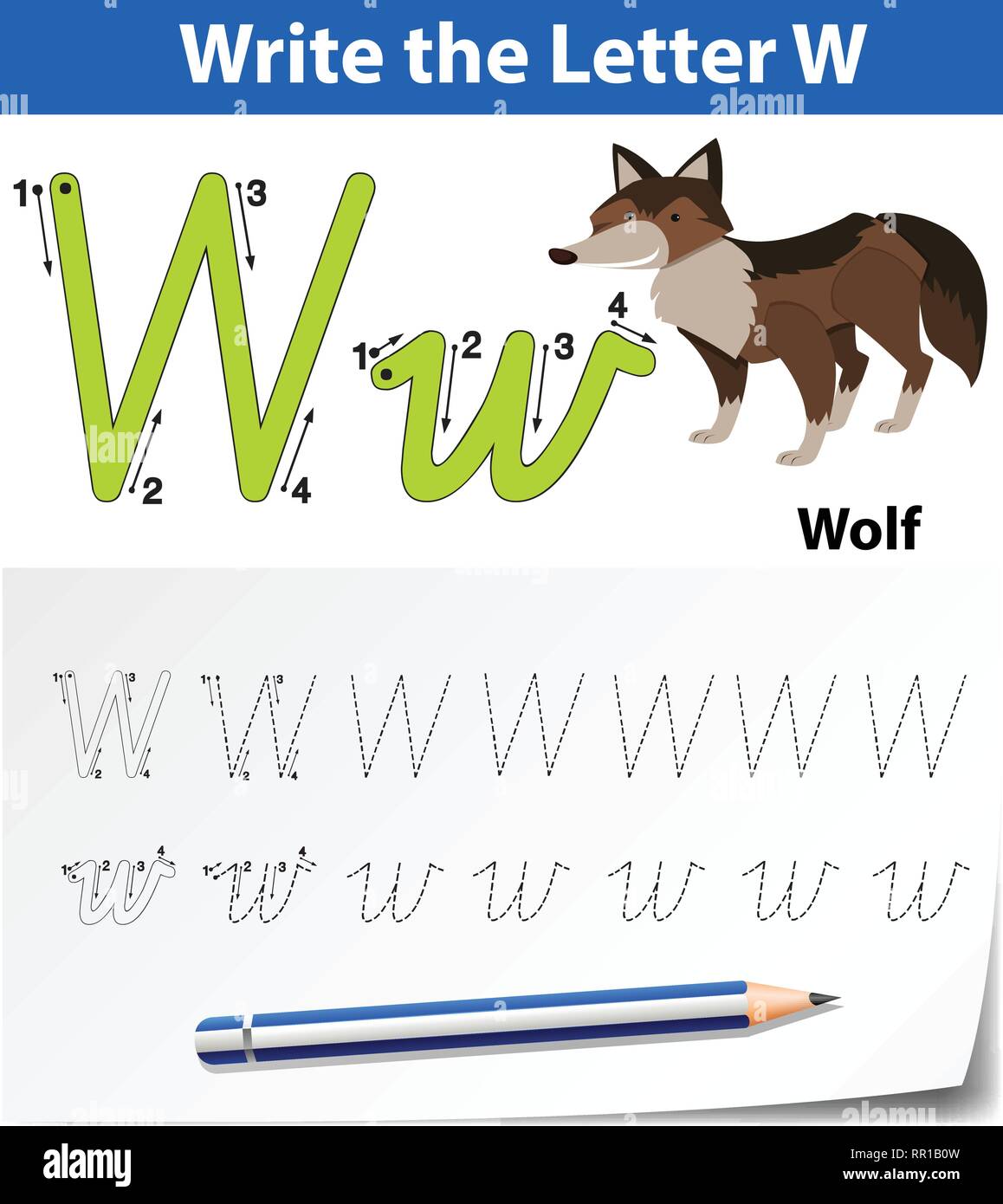 Слово wolf. Letter ww. Wolf Letter. Ww буква волк для урока английского. Letter w CAPABIS.