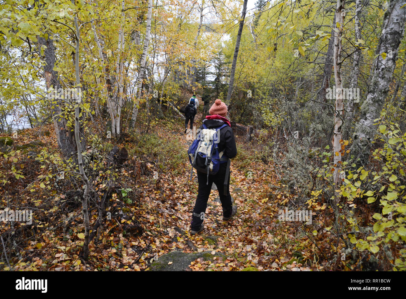 Group hikers in forest hi-res stock photography and images - Alamy