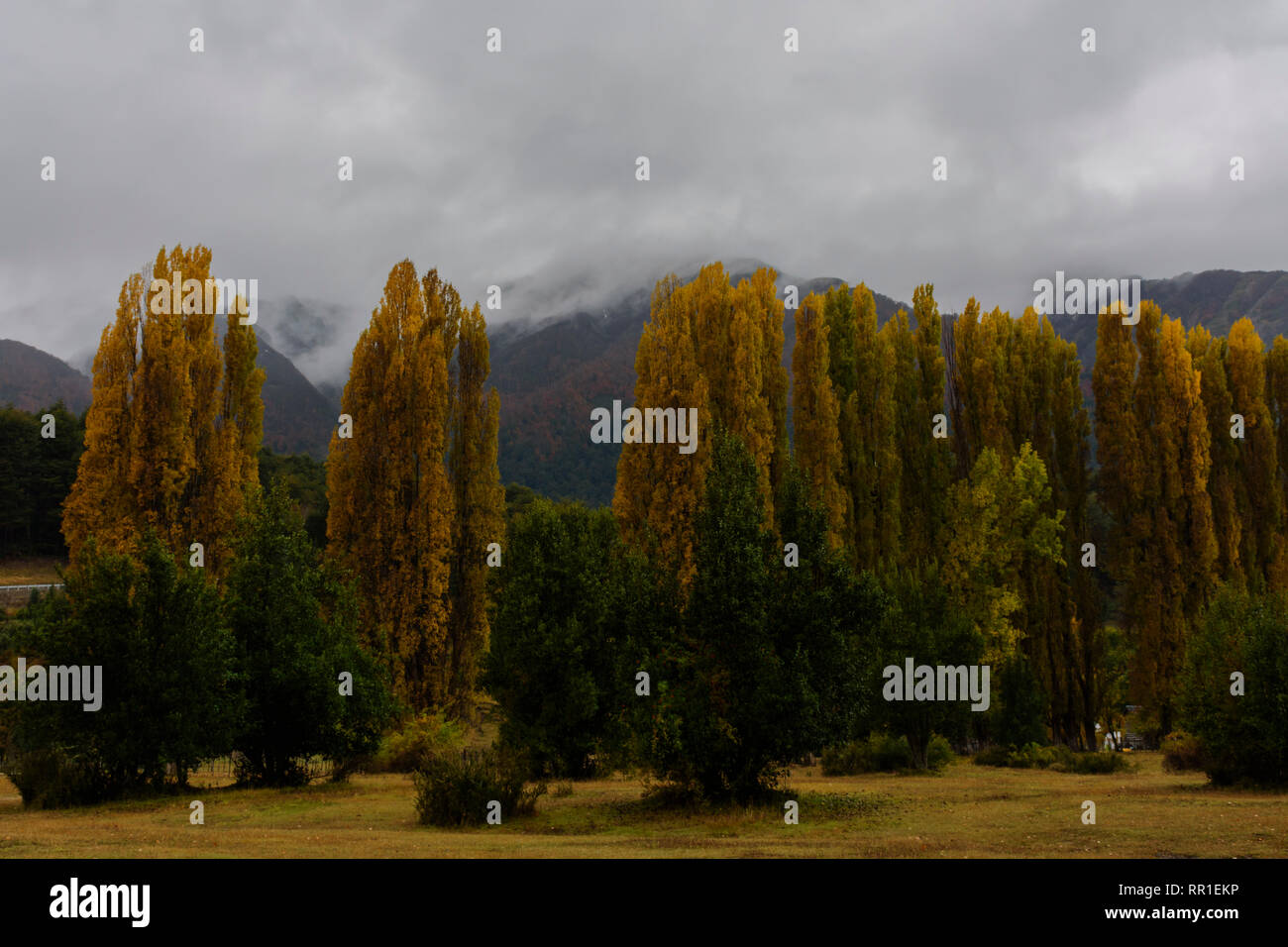 Stunning Autumn Views in Patagonia, Argentina Stock Photo
