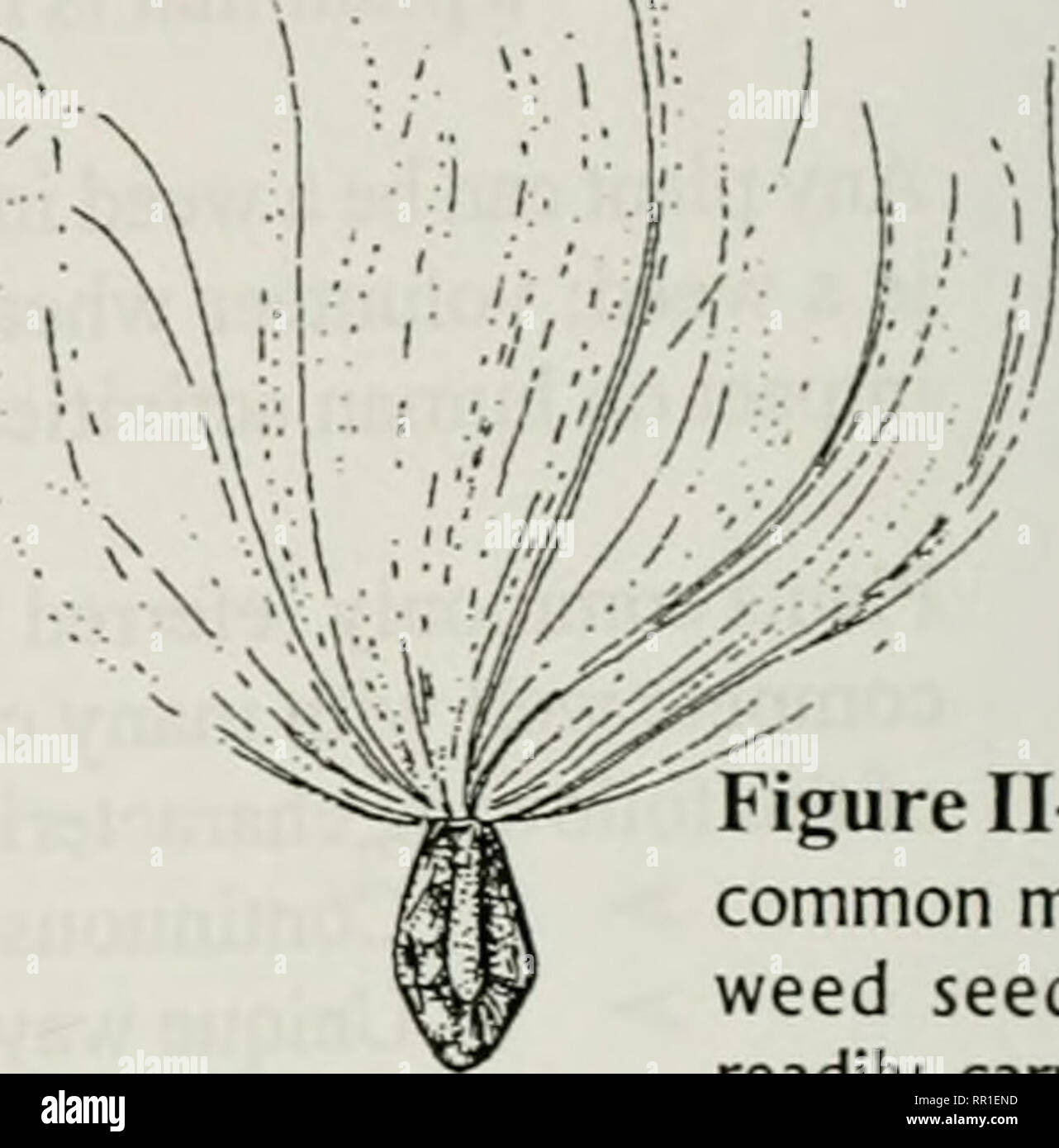 . Agricultural plant pest control a study manual for commercial and