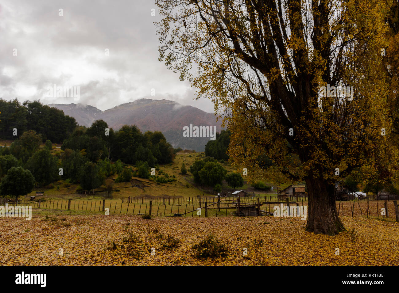 Stunning Autumn Views in Patagonia, Argentina Stock Photo