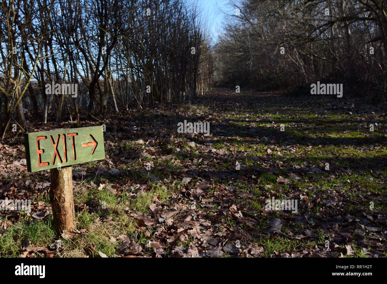 Rustic painted wooden exit sign points down long woodland path between rows of trees Stock Photo