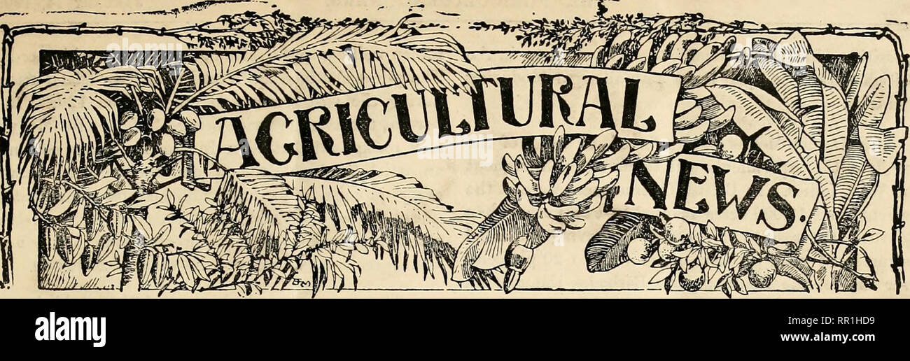 . Agricultural news. Agriculture -- West Indies; Plant diseases -- West Indies. A FORTNIGHTLY REVIEW OF THE IMPERIAL DEPARTMENT OF AGRICULTURE FOR THE WEST INDIES. BOTAt: - OAR Vol. IV. No. 72. BARBADOS, JANUARY 14, 1905. Price Id. CONTENTS. Page. Antigua, Imported Stock 8 Bananas :— Barbados for Egypt ... 8 Hawaii 4 Bermuda Biological Station Cacao, Pruning in Martiui(iue Congo Free State, Exports 10 Cojira and Cocoa-nut Oil 0 Cotton Industry :— Barbados Central Factory 5 Indian Cotton Seed Cake 5 Prospects of Crop 5 West Indian Cottim, Introduction into U. S. A Department Publications Fruit  Stock Photo