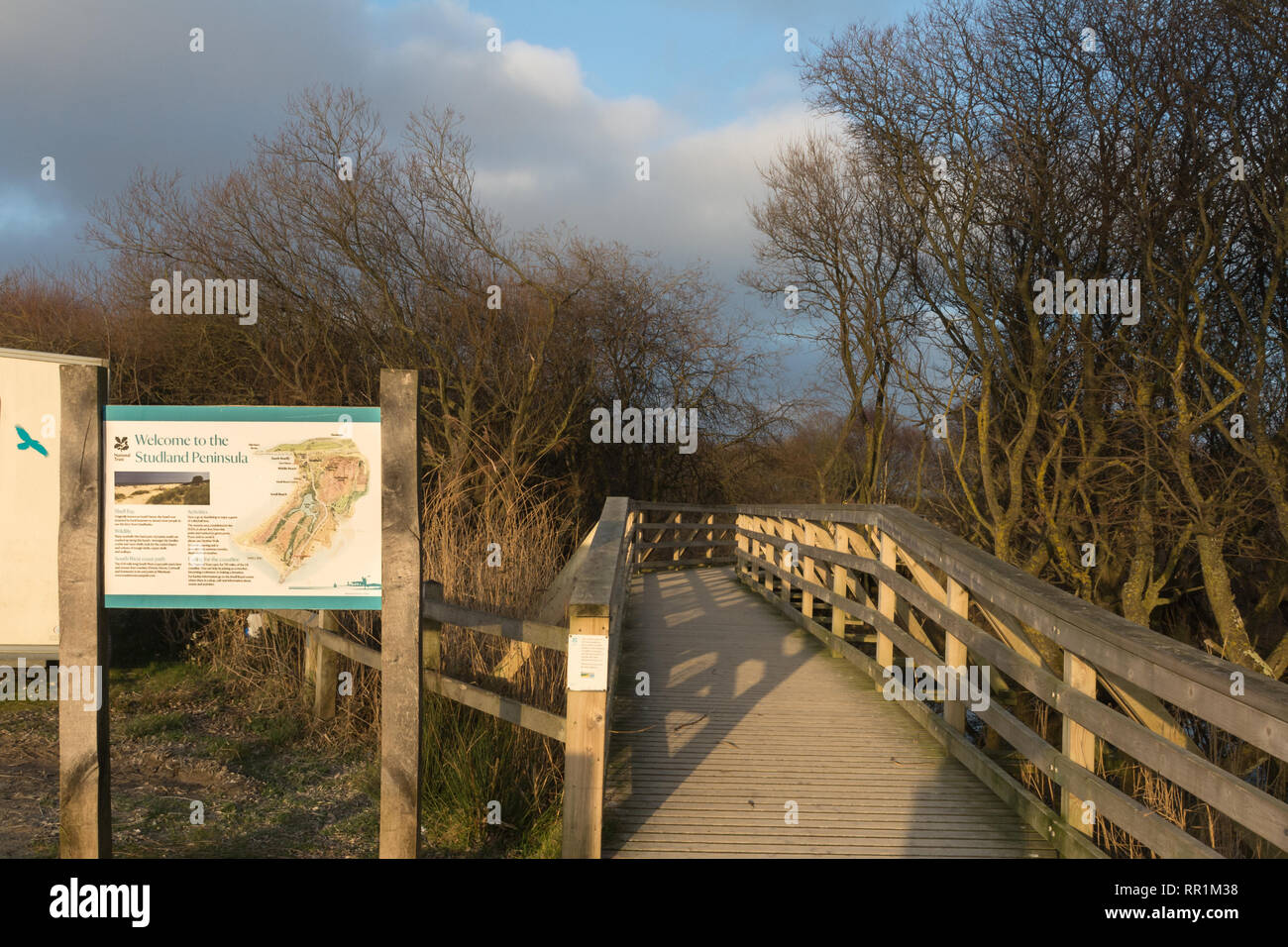 The boardwalk at Shell Bay on the Studland Peninsula with an information board, Dorset, UK Stock Photo