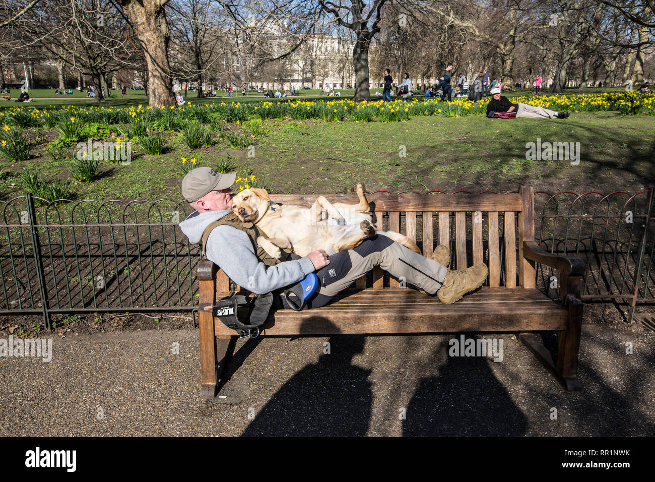 A man and his canine friend enjoy the warm temperatures as Spring arrives in St James park, London, England UK 23rd February, 2019 Stock Photo