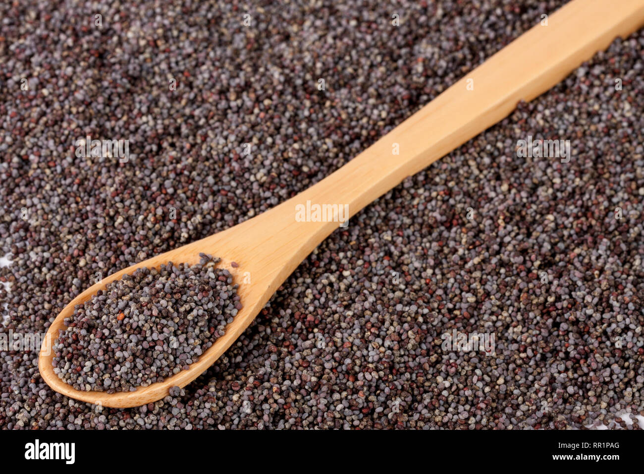 poppy seeds with a spoon as background close-up. Top view Stock Photo