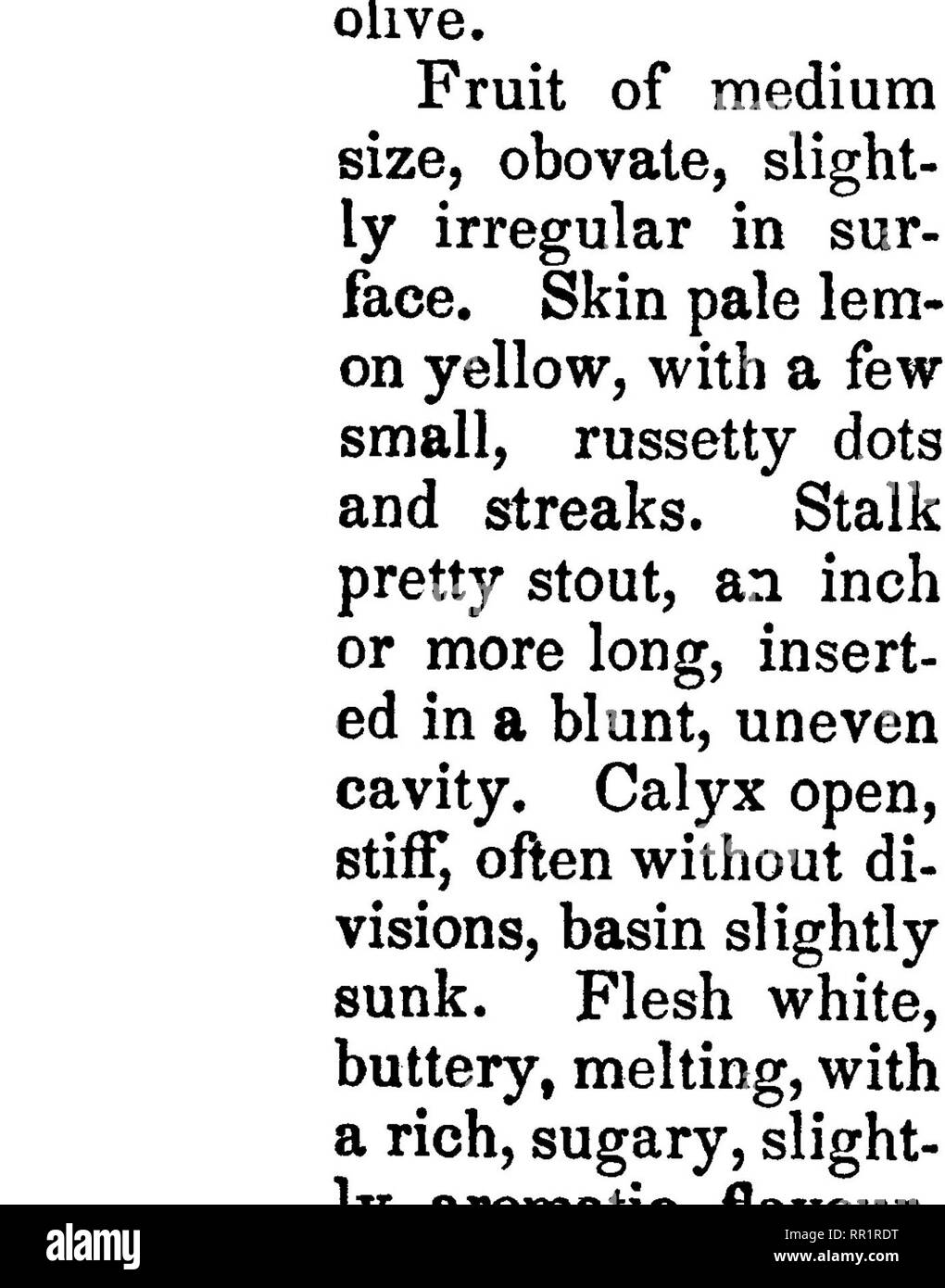 Seckel pear Black and White Stock Photos & Images Alamy