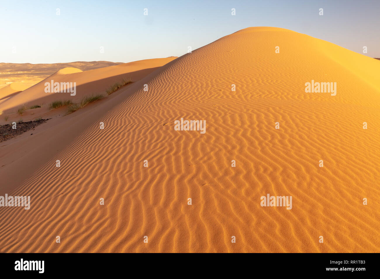 Rippled sand dunes at sunset at Mergouza, sahara desert, Morocco Stock ...