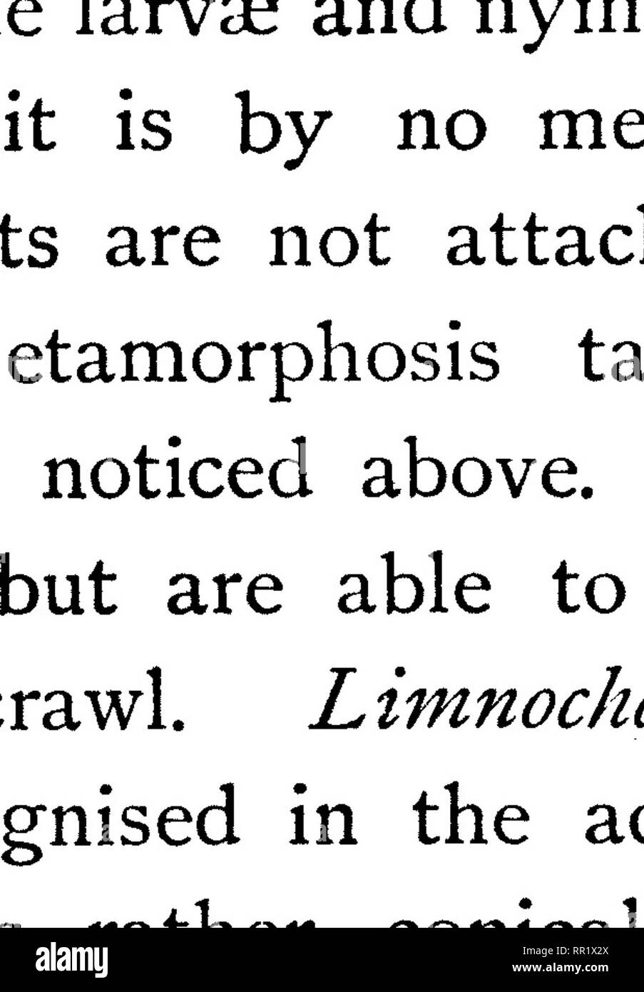 . The transformations (or metamorphoses) of insects. Insects; Insects