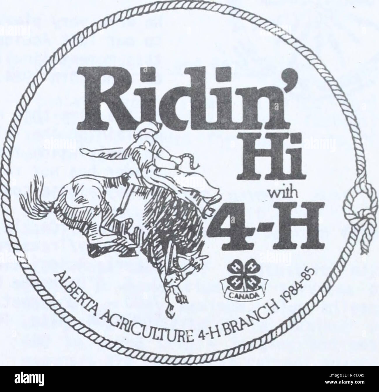 calça cowboy winner