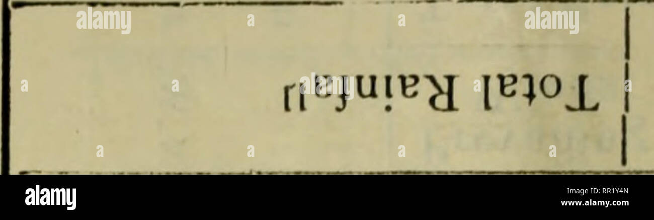 . Agricultural bulletin of the Straits and Federated Malay States. New series. Agriculture; Agriculture. 112. Suunp '[t-'jui^j is^tj^jy ir; iO -t O ii&gt;0 &gt;-1 l^iO1- ro unvp t C C O iOVp OC -h n ^ n n w n Th fo n n n •spu!AV JO UOJP^JIQ 3UIJIBA9JJ •tx On O OVO K cou^ rovO t t». O rt&quot; ^ fO ^ (^hhhhhhNhh E o &gt;^ X]ip !LUUH I oo oo co cc oo irun ro t}1 GO GO 0O CO 00 JUIOJ A9Q I I N O O M O CO GO 00 CO CO n O CO 00 : CO CO CO 00 00 m co o m r i N rf-Vp O rfr U-» Tt- V N K K N in T) in w-&gt;o CD u 2 S O H 9Su^J uinmiui N o &gt;-&lt; oo on n h in coo on . CO O ro*-00 ON m ON O  Stock Photo