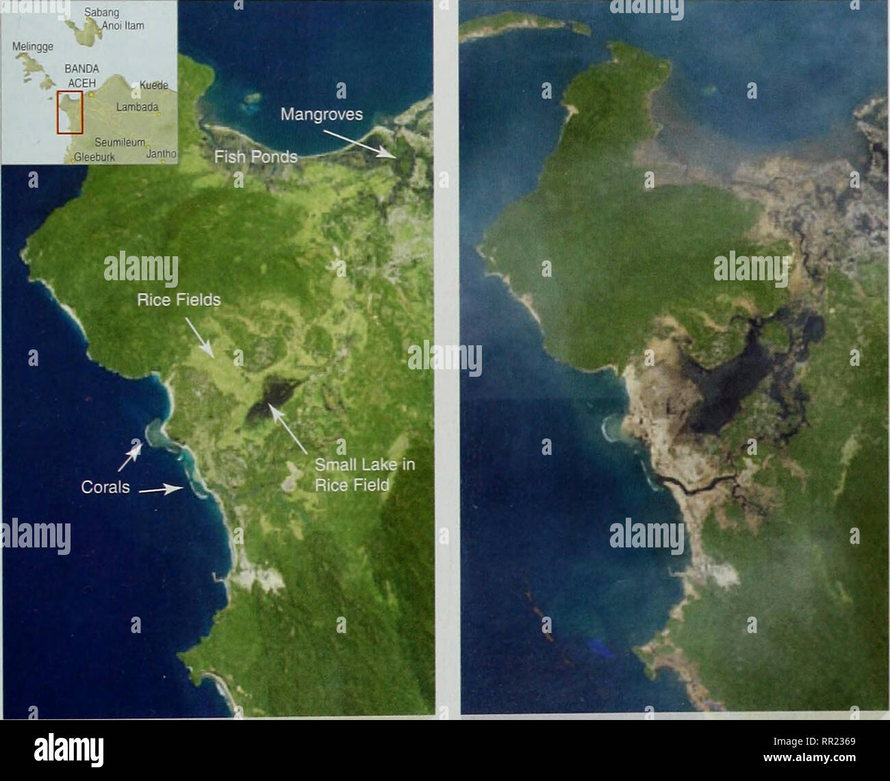 After the Tsunami: Rapid Environmental Assessment. Case study: Overall  damage to ecosystems in Sumatra These images show a combination of a rocky,  hilly headland along with a small river delta and