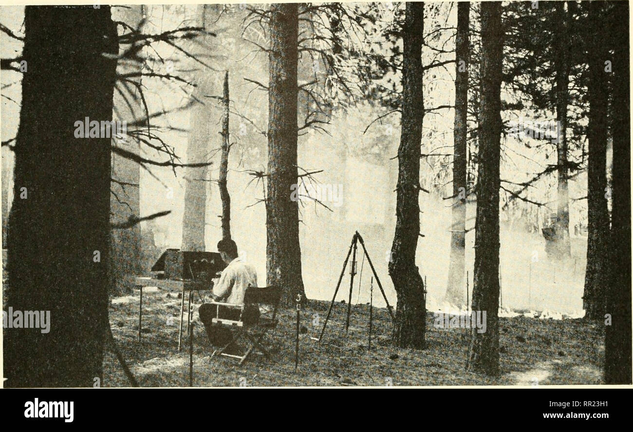 Adventures with animals and plants. Biology. 5i6 Orgams7ns Are Products of  Heredity and Environment unit ix. Fig. 465 The fire in the background was  deliberately started by scientists so that they