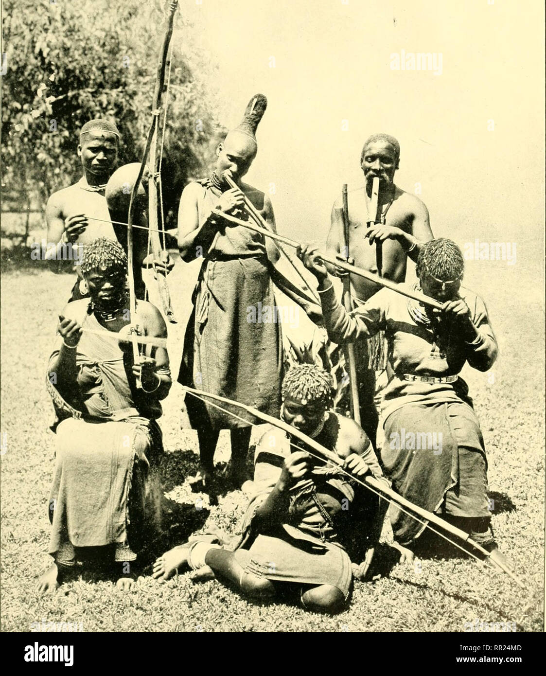 African Invertebrates A Journal Of Biodiversity Research Invertebrates Africa Biological Diversity Africa Biological Diversity Ann Natal G Uvs Vol 1 Part Ih Pl Xi Iv Gt Gt W Ai X R M A R M