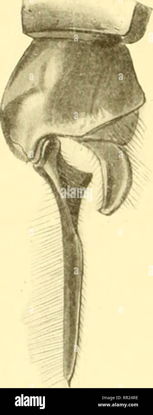 Taches jaunes hires stock photography and images Alamy