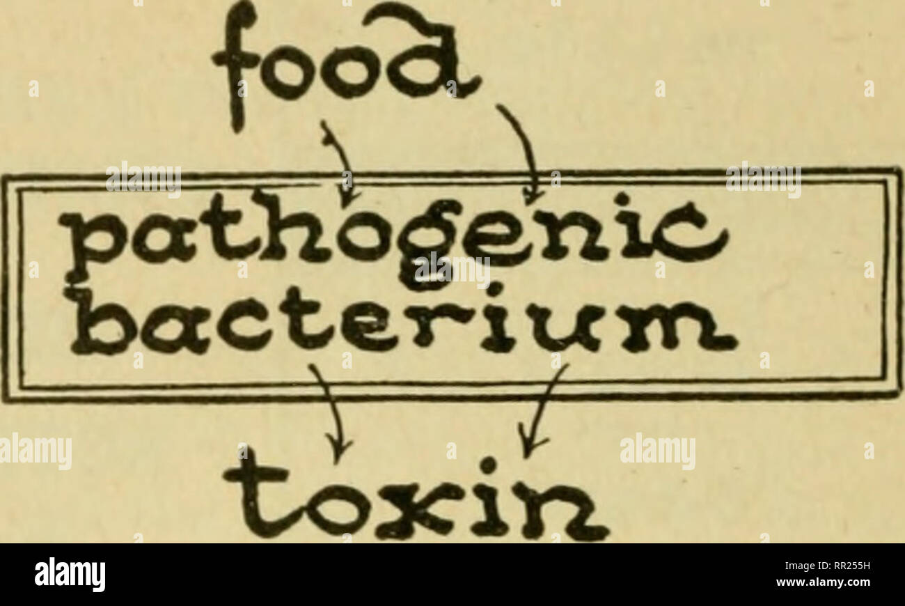 . Advanced biology. Biology; Physiology; Reproduction. 404 BENEFICIAL