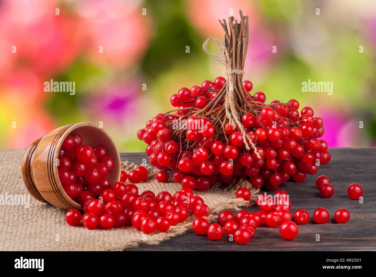 ripe red viburnum berries in a wooden bowl on table with blurred garden background Stock Photo