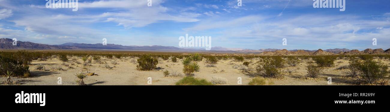Panoramic view of Joshua Tree Nationsl Park - Mojave desert part Stock Photo