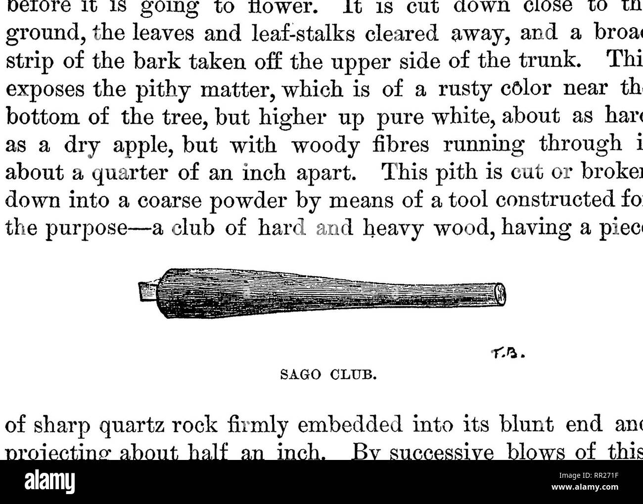 The Malay Archipelago The Land Of The Oranguatan And The Bird Of Paradise A Narrative Of Travel With Studies Of Man And Nature Natural History Ethnology 384 Ceram Passed Through