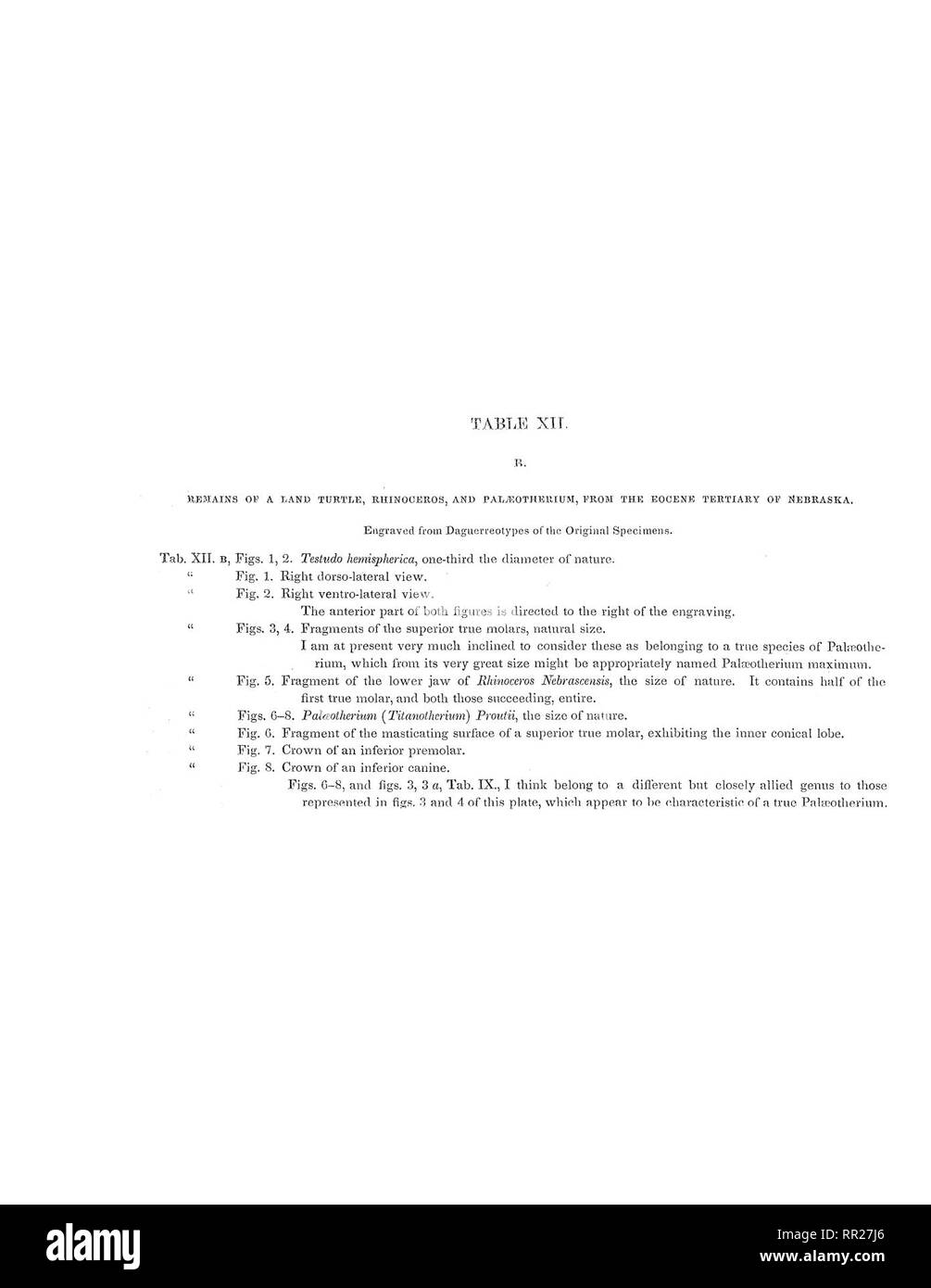 Report Of A Geological Survey Of Wisconsin Iowa And Minnesota And - report of a geological survey of wisconsin iowa and minnesota and incidentally of a po!   rtion of nebraska territory made under instructions from the