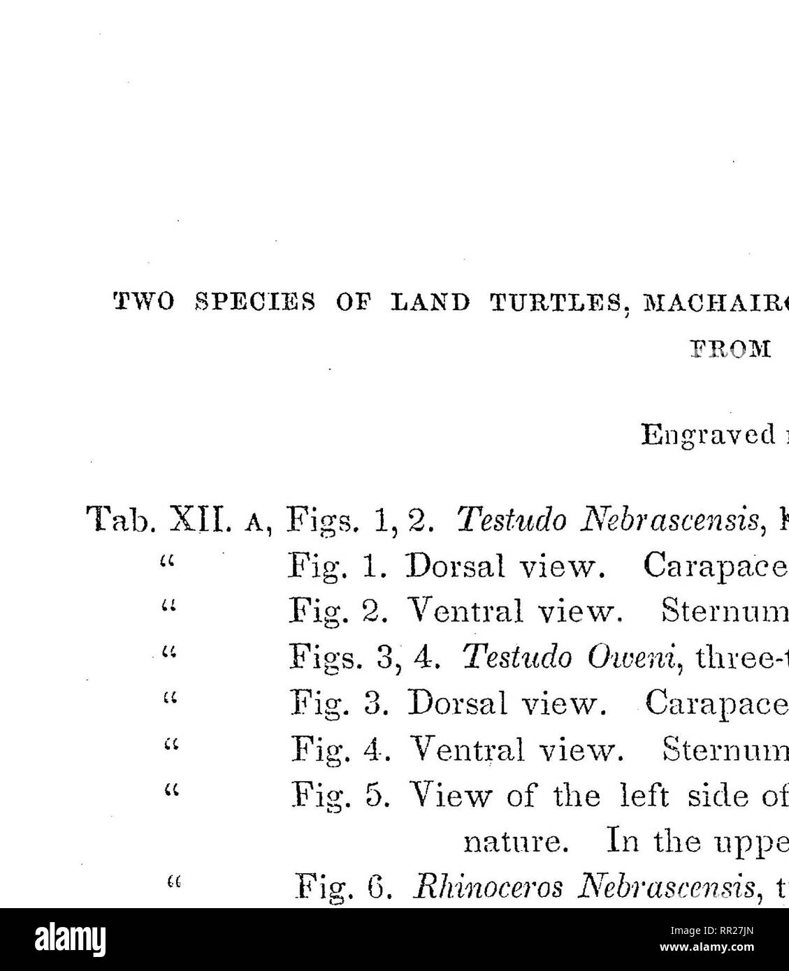 Report Of A Geological Survey Of Wisconsin Iowa And Minneso!   ta And - report of a geological survey of wisconsin iowa and minnesota !   and incidentally of a portion of nebraska territory made under instructions from the