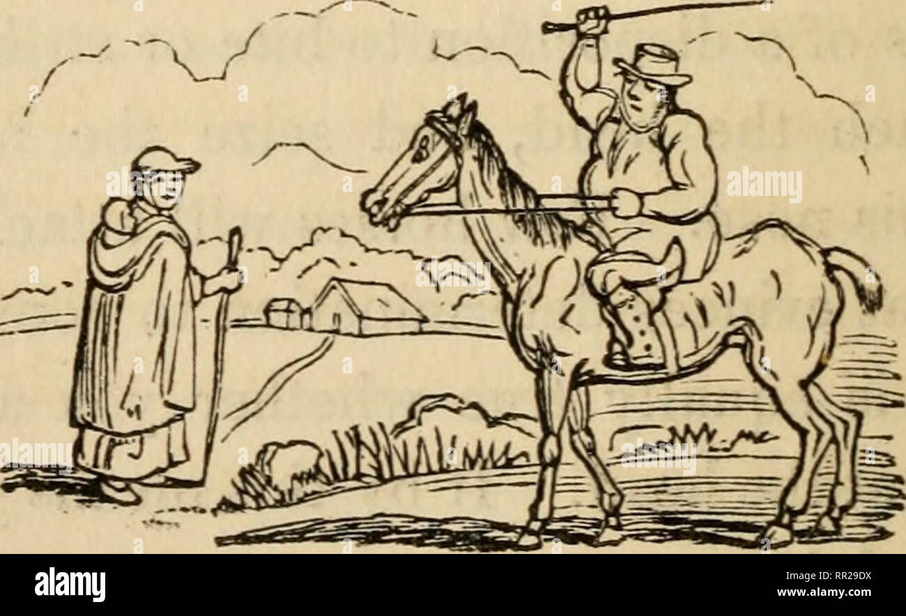 The Adventures Of A Gentleman In Search Of A Horse Horses 136