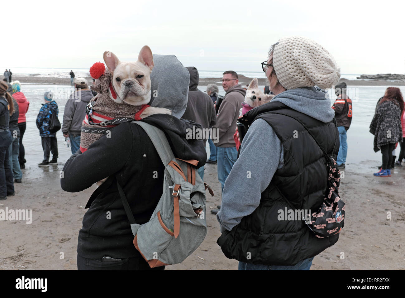 Cleveland, Ohio, USA. 23rd Feb, 2019.  Spectators and their pooches brave the winter cold to watch participants plunge into the ice-filled waters of Lake Erie.  The 2019 Cleveland Polar Plunge benefits the Special Olympics with this years event raising over $94,000 by more than 400 people. Credit: Mark Kanning/Alamy Live News. Stock Photo