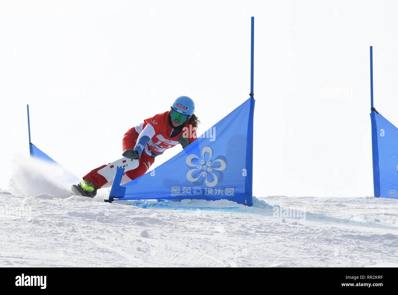 Zhangjiakou. 24th Feb, 2019. Patrizia Kummer of Switzerland competes during the women's Parallel Slalom final of FIS Snowboard World Cup 2018-2019 in Zhangjiakou of north China's Hebei Province, on Feb. 24, 2019. Credit: Zhu Xudong/Xinhua/Alamy Live News Stock Photo