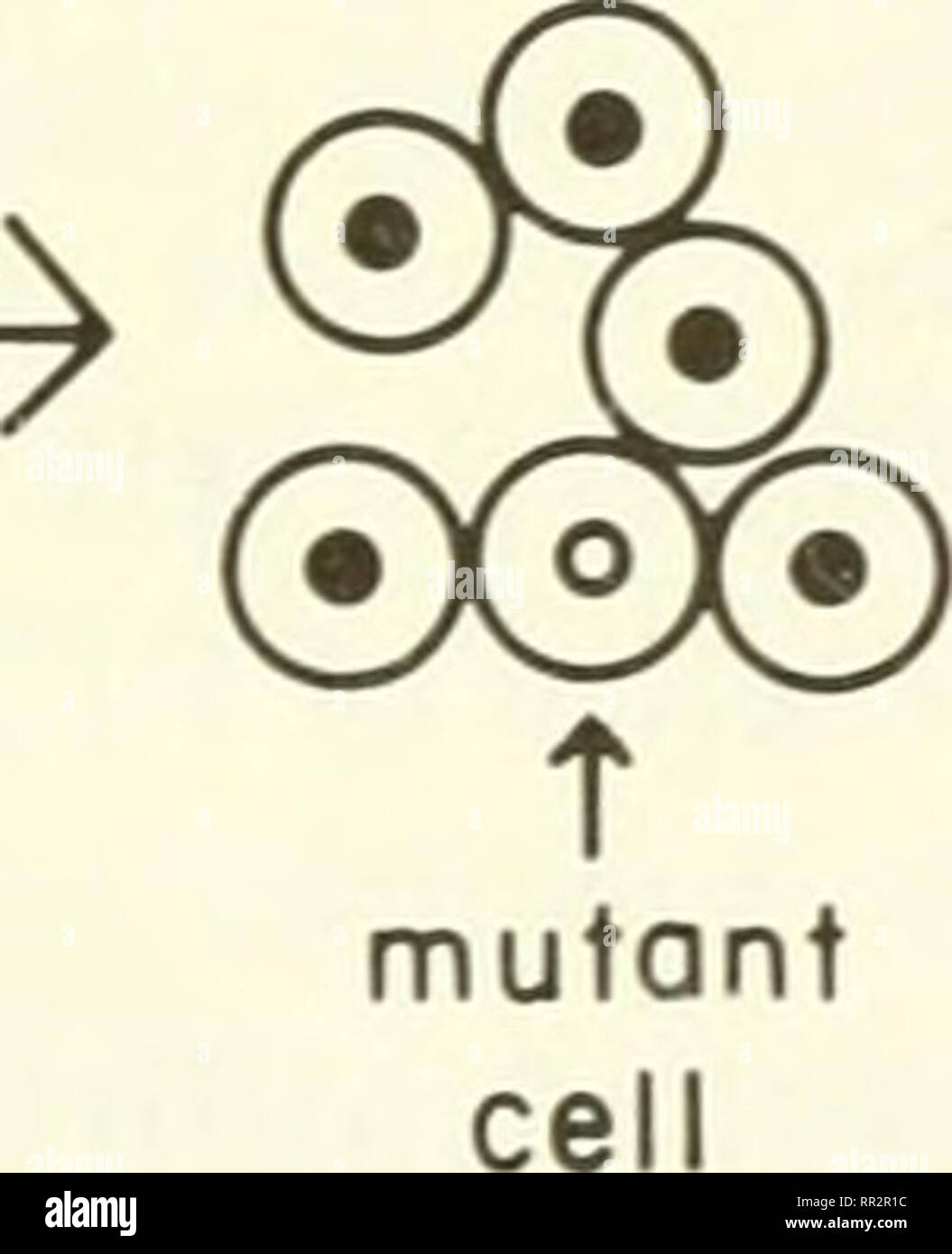 . Advances in marine environmental research : proceedings of a ...