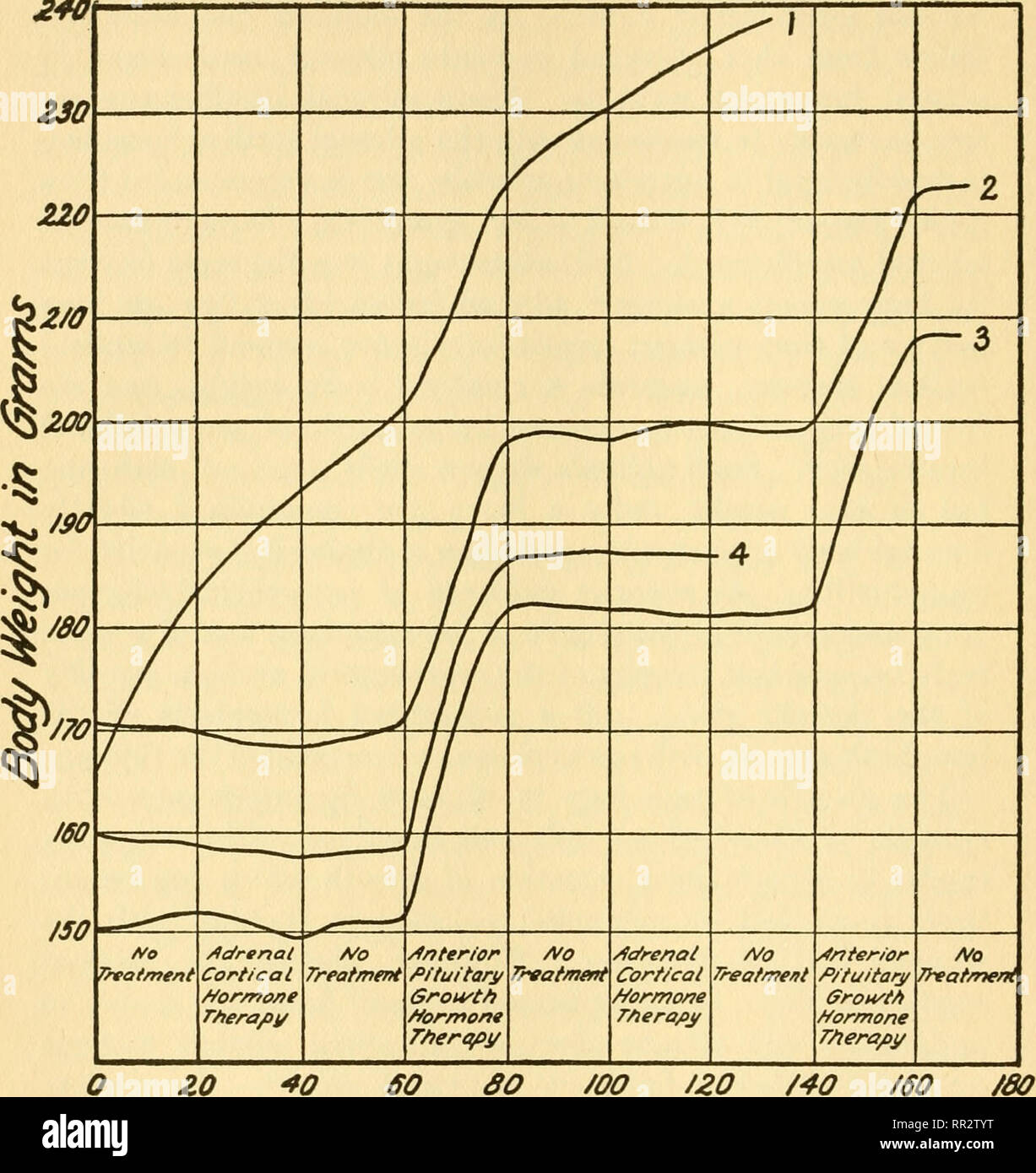 . The adrenals. Adrenal glands; Endocrinology. 214 CORTEX 240. 7?rne /n