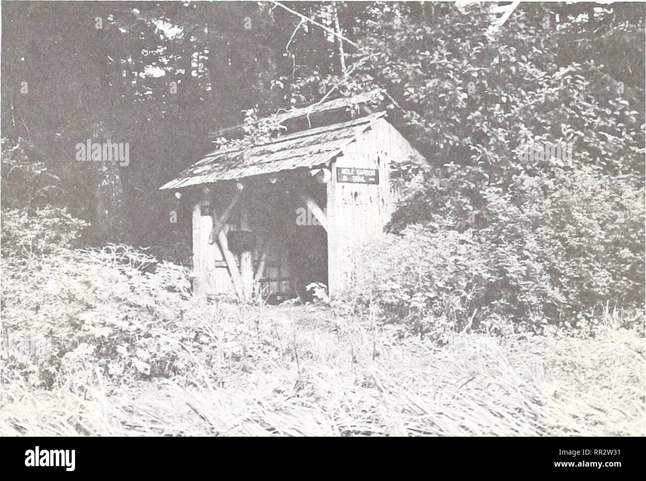 Admiralty Island Interim Guidelines Issue 2 Florence Kathleen