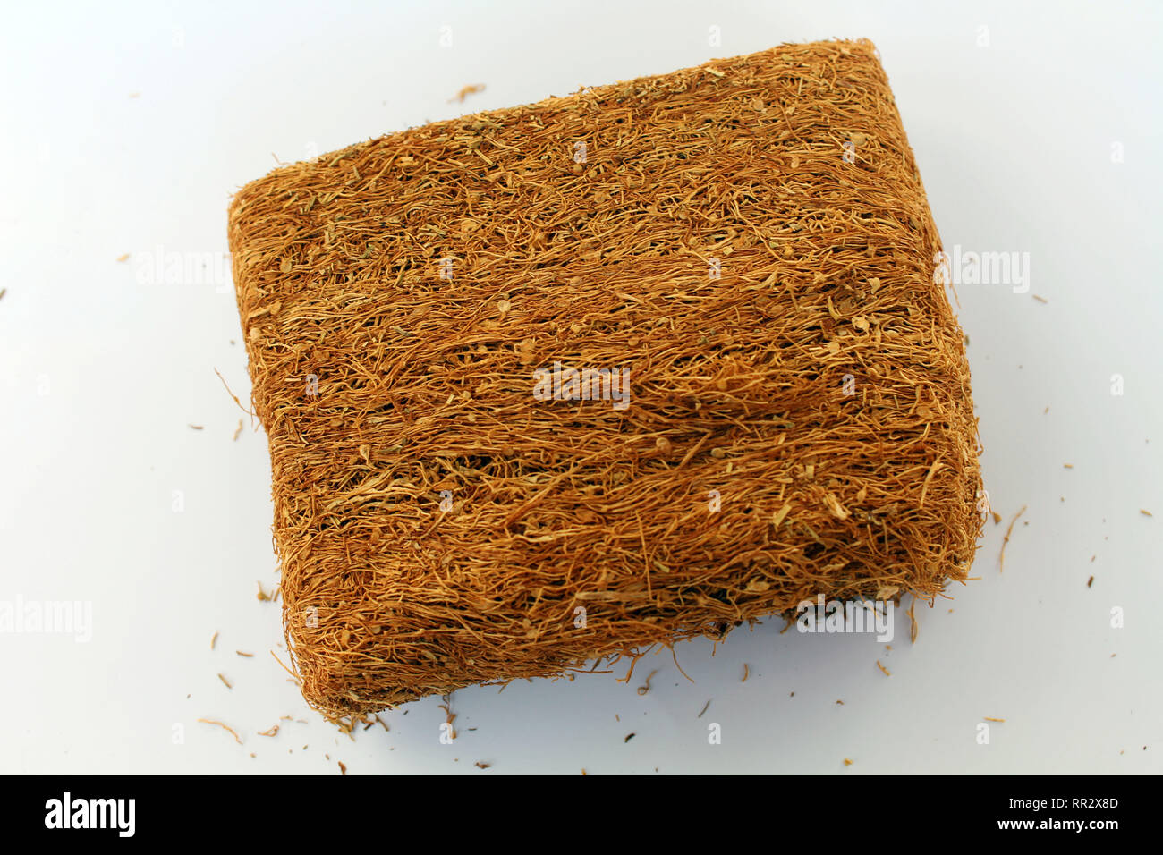tobacco mosaic virus mode of transmission Models for cell-to-cell movement of Tobacco mosaic virus (TMV) and