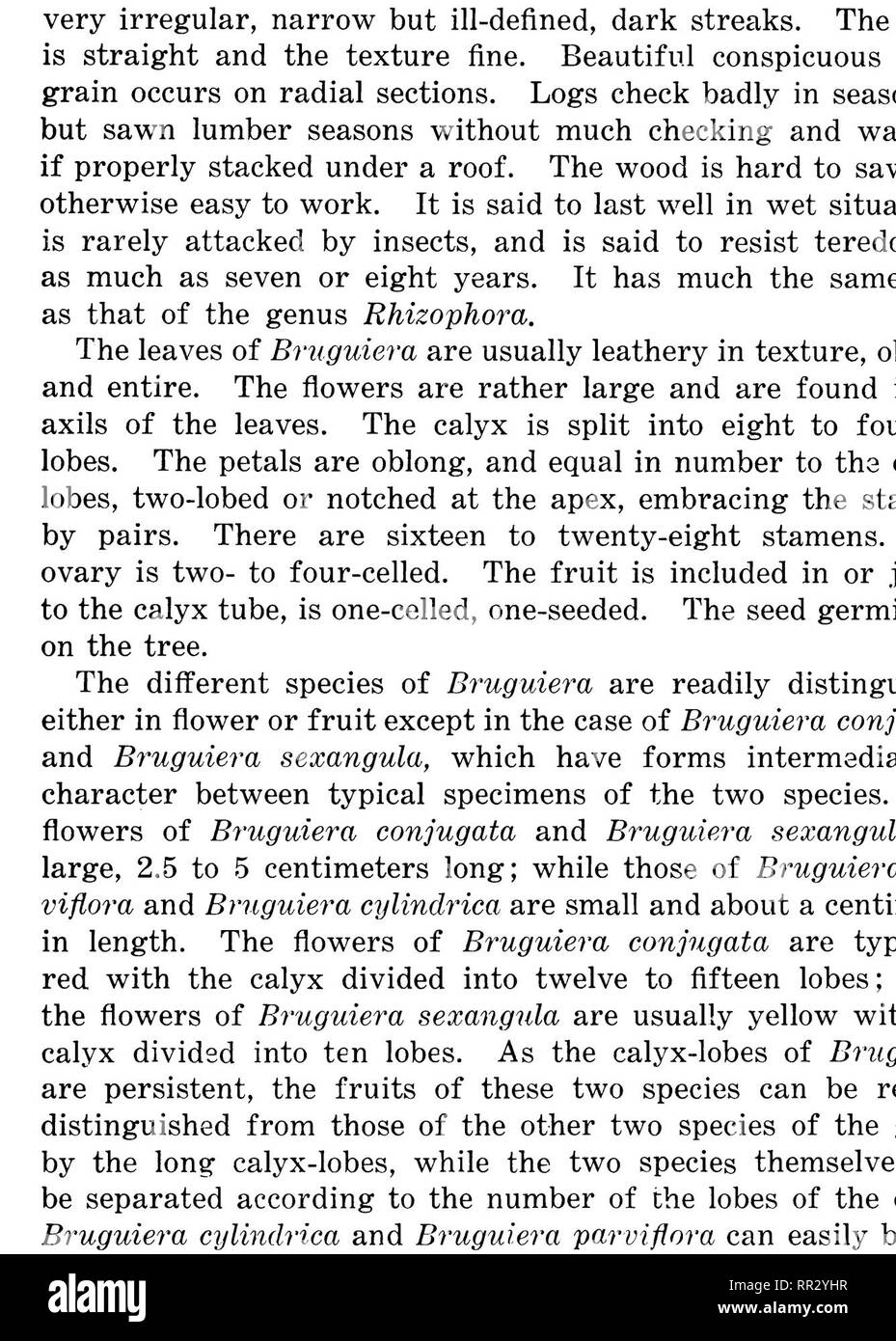 . Bulletin. Forests and forestry. DESCRIPTION OF SPECIES. 45. PLATE XVIII. BRUGUIERA CONJUGATA WITH FLOWERS.. Please note that these images are extracted from scanned page images that may have been digitally enhanced for readability - coloration and appearance of these illustrations may not perfectly resemble the original work.. Philippines. Bureau of Forestry. Manila, Bureau of printing Stock Photo