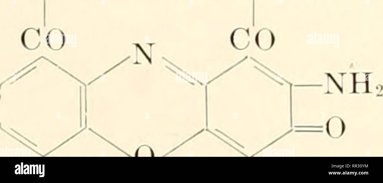 Actinomycins hi-res stock photography and images - Alamy