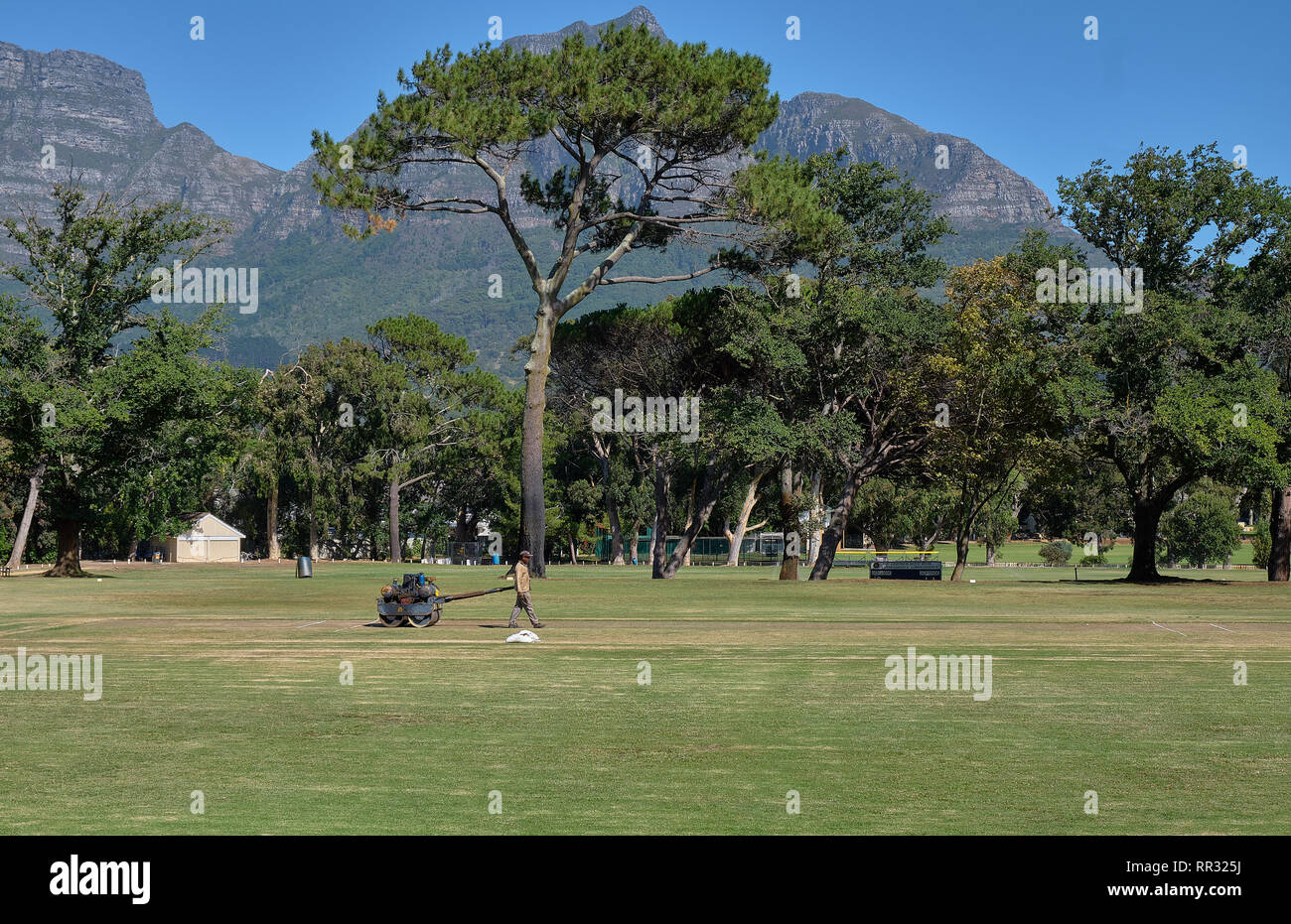 Groundskeeper using a vintage roller to harden to surface of the bowling lane of the local park
