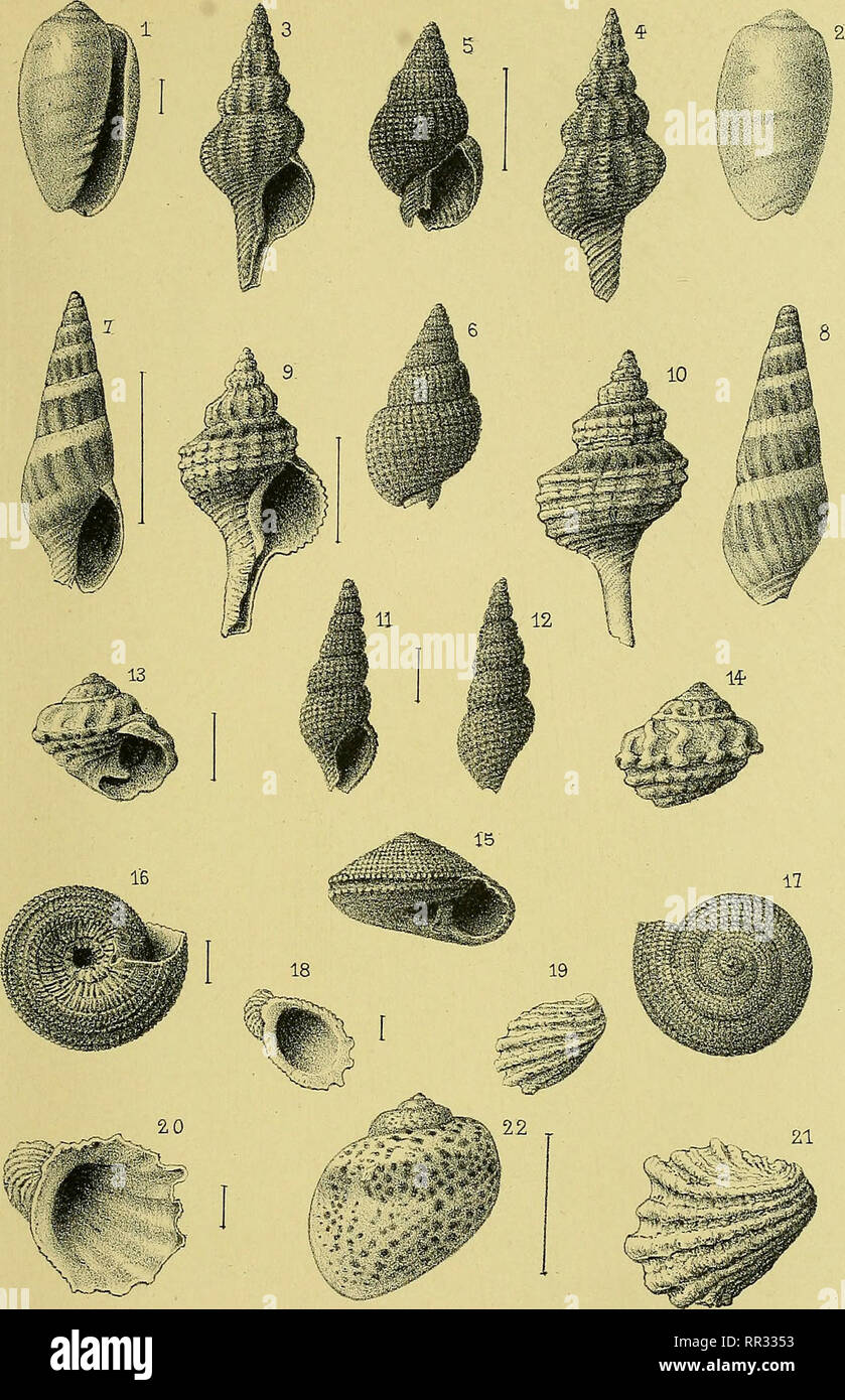 7 3 M3 High Resolution Stock Photography And Images Alamy