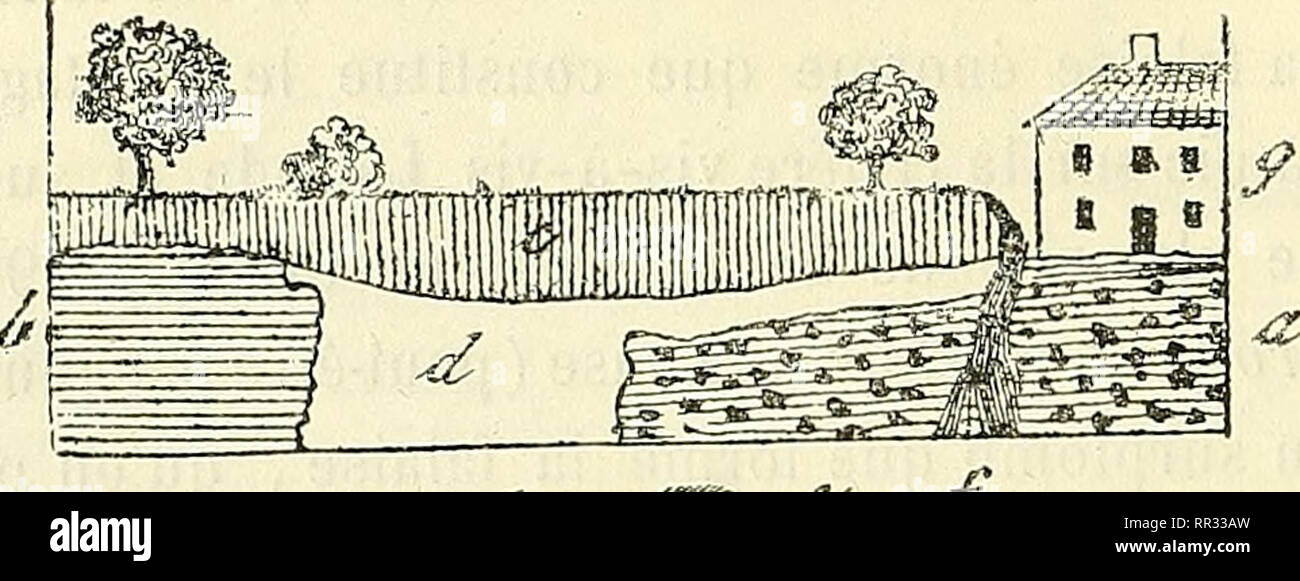 Actes de la Société linnéenne de Bordeaux. Natural history; Science. ( 94 )  Coupe de la rive droite.. Légende. — a. Craie marneuse, blanc-grisâlre, à  rognons de silex gris- noirâtre (2°