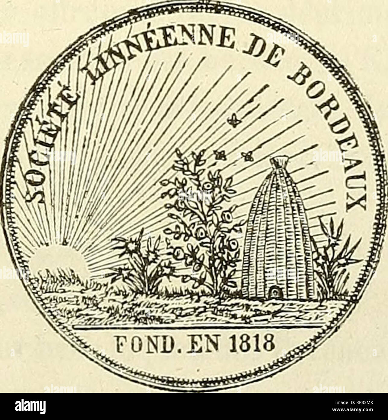 Actes De La Societe Linneenne De Bordeaux Natural History Science R R La Societe Limeeme De Bordeaux Tome Xxiv Troisieme Serie Tome Iv A Paris Chez J B Baillieres