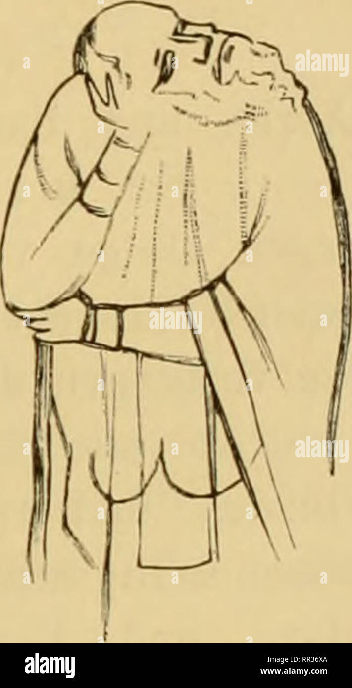 Vwv High Resolution Stock Photography And Images Alamy