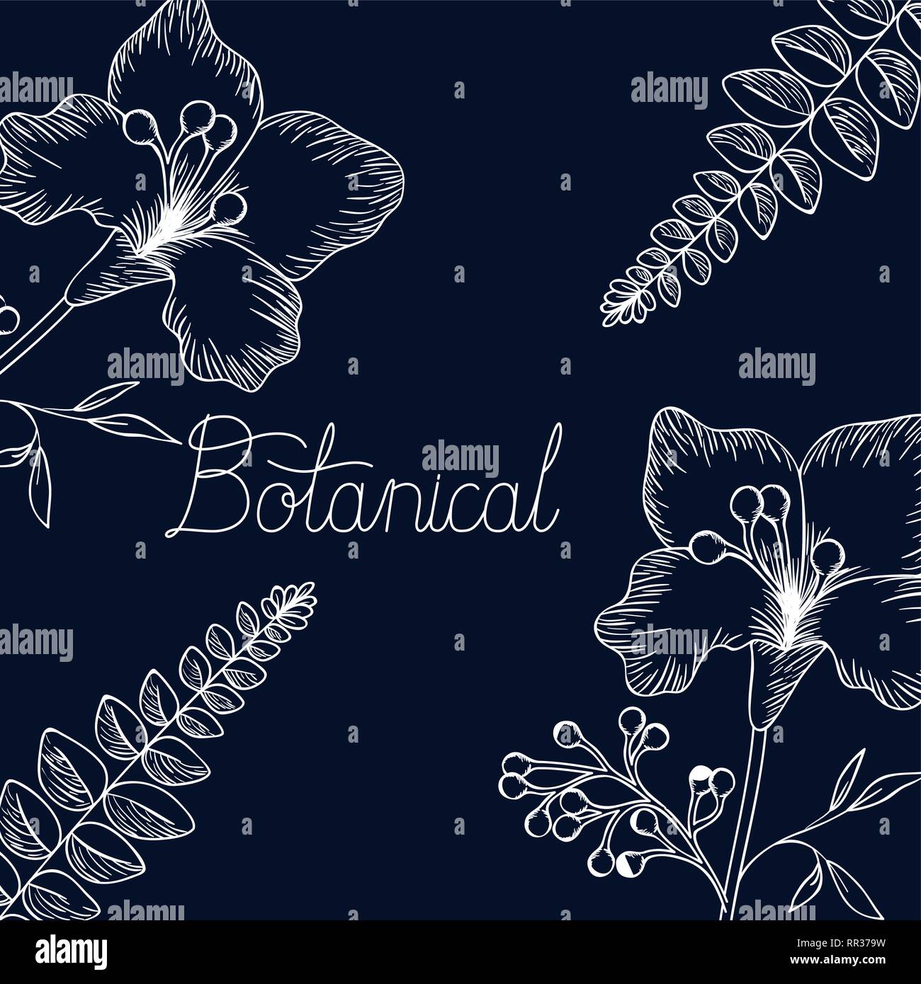 botanical label with plants isolated icon Stock Vector Image & Art - Alamy