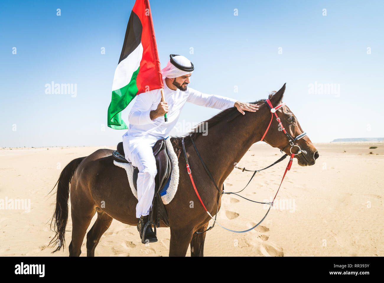 Middle eastern handsome man with typical emirates dress riding a arabic