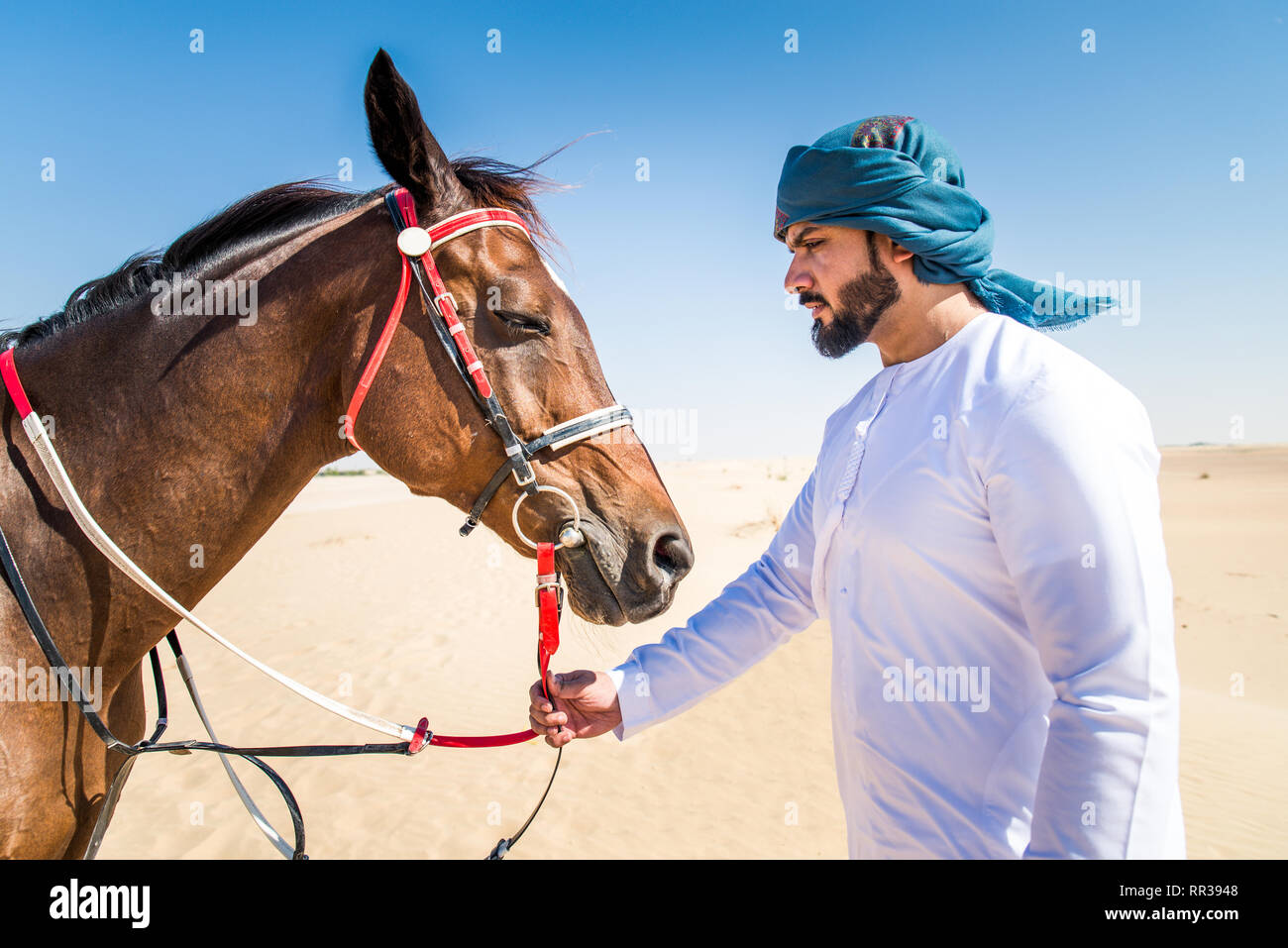 Middle eastern handsome man with typical emirates dress riding a arabic