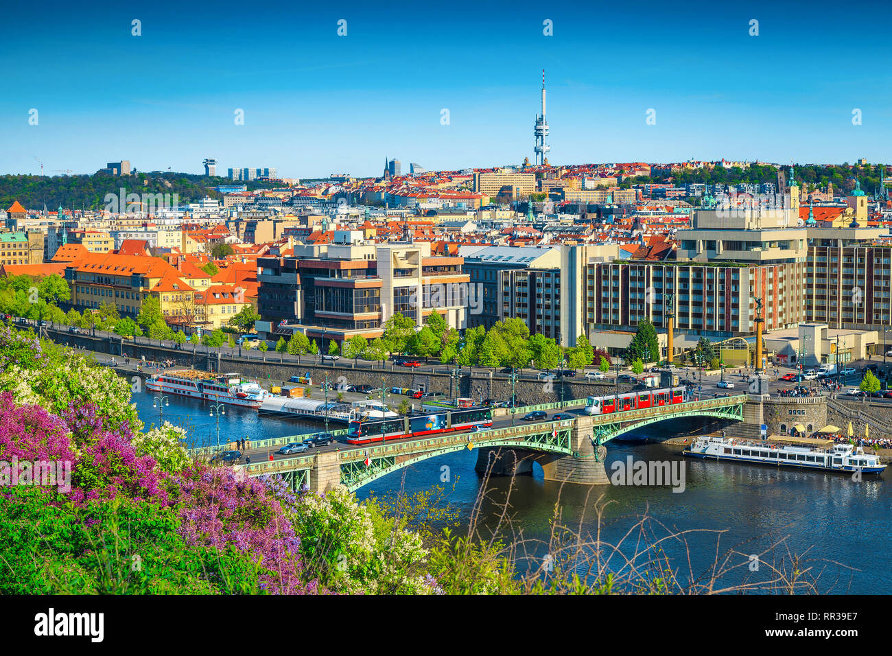 Wonderful touristic and travel destination. Vltava river and bridge with red trams. City center with colorful spring flowers in public park, Prague, C Stock Photo