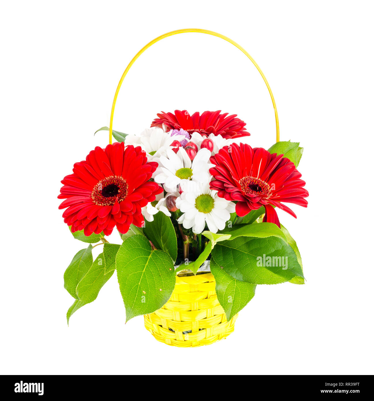 Yellow basket with beautiful flowers isolated on white background