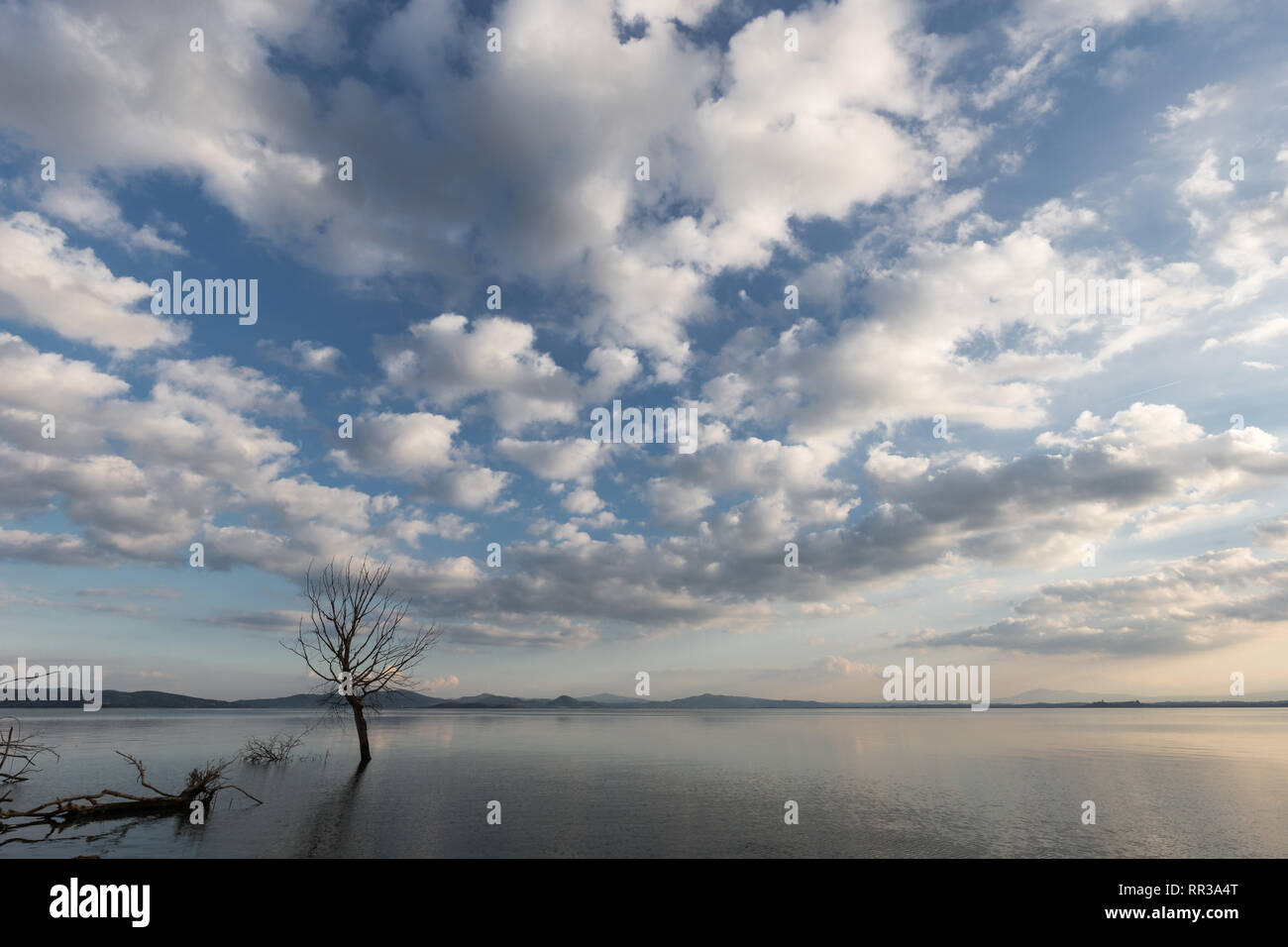 Beautiful wide angle view of a lake with an huge sky with clouds above skeletal trees Stock Photo