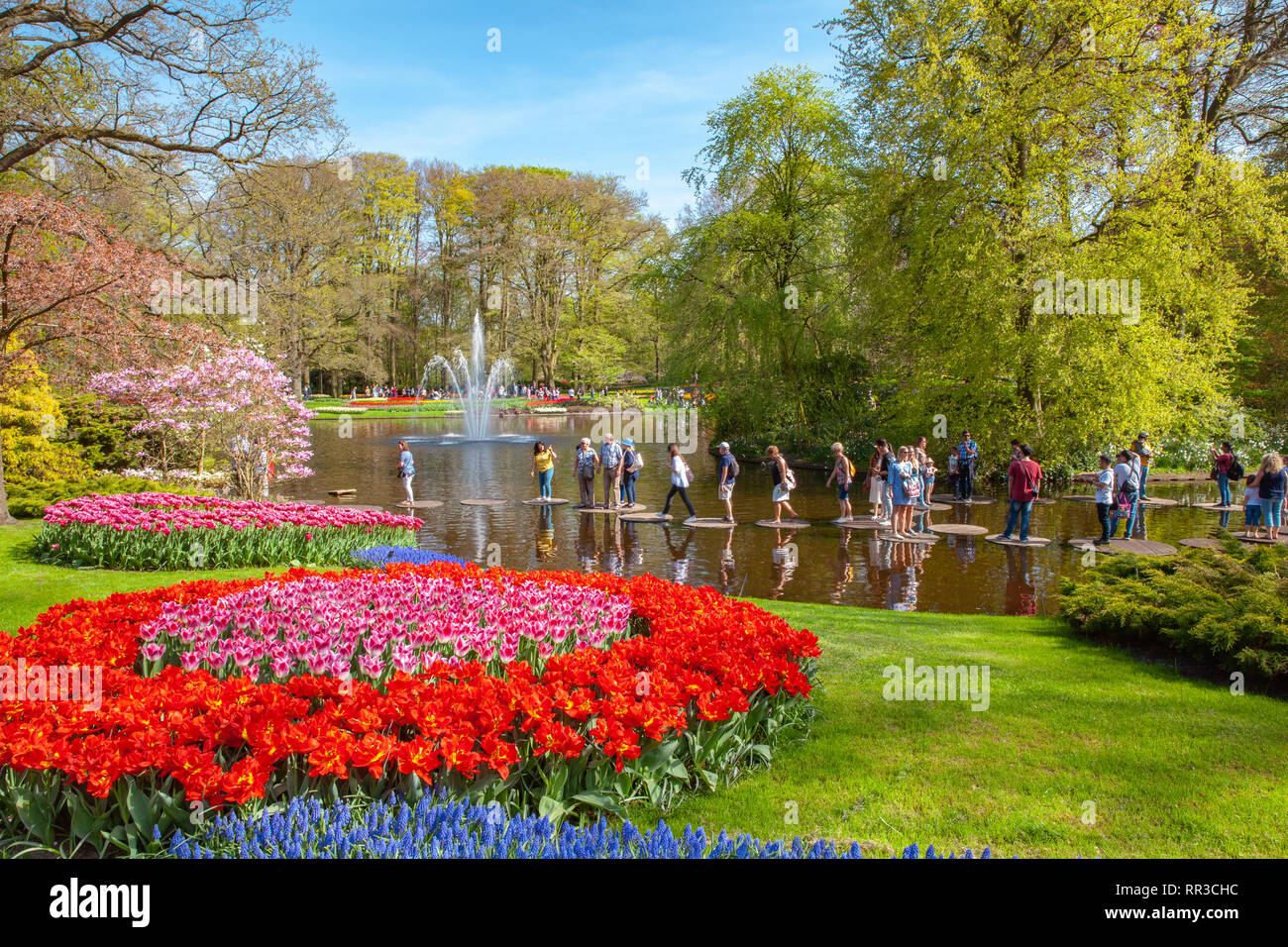 Keukenhof Famous  colorful Flowers Gardens Lisse Netherlands Stock Photo