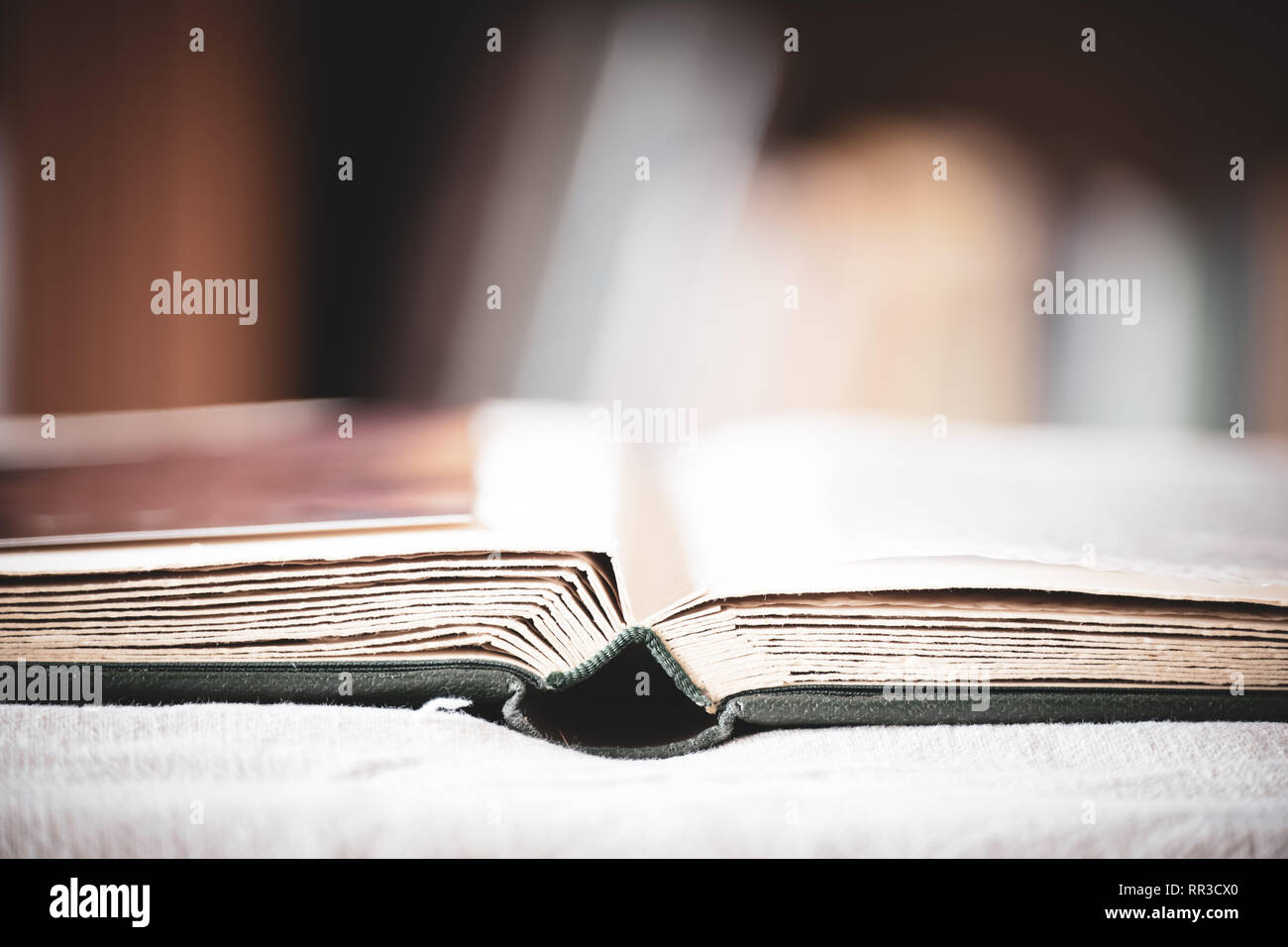 High Angle View Open Book Album Stock Photo 1410859172