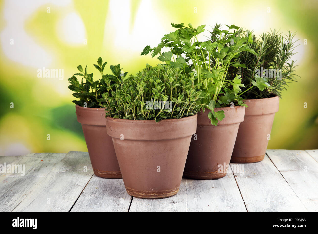Old clay pots hires stock photography and images Alamy